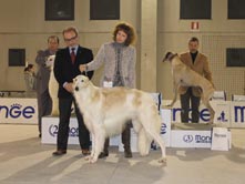 INTERNATIONAL DOGSHOW to IVREA (Italy)