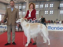 INTERNATIONAL DOGSHOW to BERGAMO (Montichiari)