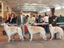 INTERNATIONAL DOGSHOW to MARSEILLE - (France)
